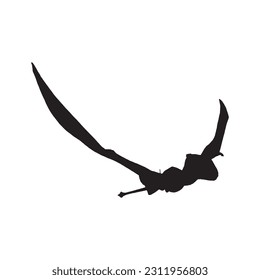 vector illustration of silhouette of prehistoric creature dimorphodon isolated on white background