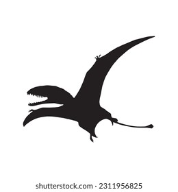 vector illustration of silhouette of prehistoric creature dimorphodon isolated on white background