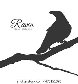 Vector illustration: Silhouette of Raven sitting on a dry branch isolated on white background.