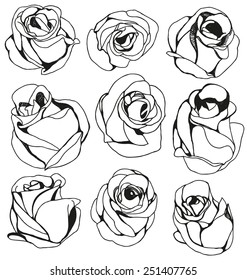 Vector illustration of  silhouette rose set