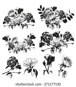 Vector illustration of   silhouette rose set