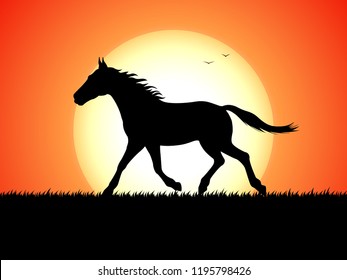 Vector illustration of silhouette of a running horse on sunset background. Horse trotting. Profile, side view.