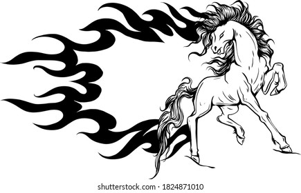 Vector illustration silhouette of a running horse