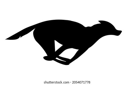 Vector illustration with silhouette of running sled dog, winter sport with black husky on white background