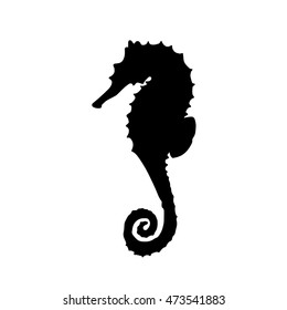 vector illustration of silhouette of seahorse. Seahorse made in one color under the stencil. hippocampus silhouette