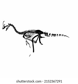 Vector illustration silhouette sketch archeology dinosaur fossil animal 