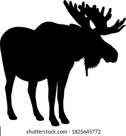 Vector illustration of a silhouette of a standing bull moose.