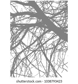 Vector illustration. Silhouette of trees. Silhouette of a branch. Isolated illustration. Gray. White
