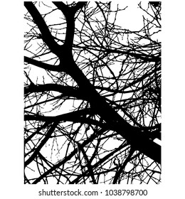 Vector illustration. Silhouette of trees. Silhouette of a branch. Isolated illustration. The black. White
