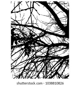 Vector illustration. Silhouette of trees. Silhouette of a branch. Isolated illustration. The black. White. Abstract texture.