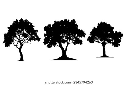 Ilustración vectorial. Silhouette de árboles con hojas. Conjunto de plantillas.