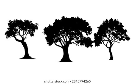 Vector illustration. Silhouette of trees with leaves. Template set.