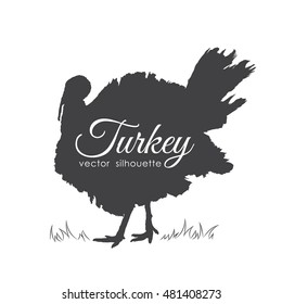 Vector illustration: Silhouette of turkey isolated on white background.