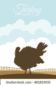 Vector illustration: Silhouette of turkey on background of farm field.