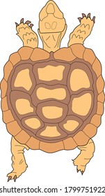Vector illustration of silhouette of a turtle. Icon for a pet shop catalogue or guide, banner, price list, ads, web site or clothes design and print. 