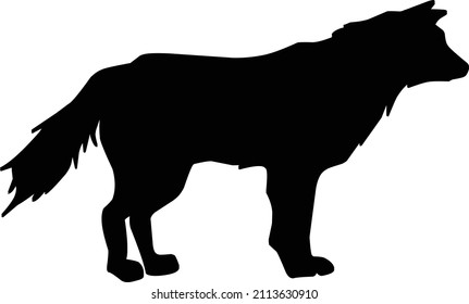 vector illustration silhouette of wolf