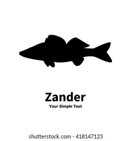 Vector illustration silhouette of zander. Isolated fish on a white background. Silhouette walleye.