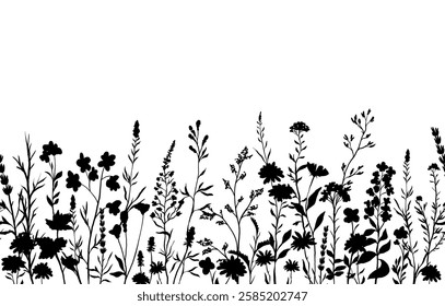 vector illustration of silhouettes background with various wildflowers and delicate plants, seamless from right to left