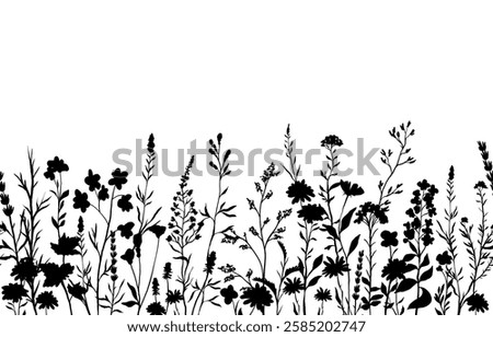 vector illustration of silhouettes background with various wildflowers and delicate plants, seamless from right to left