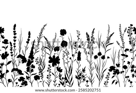 vector illustration of silhouettes background with various wildflowers and delicate plants, seamless from right to left