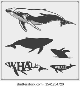 Vector illustration and silhouettes of beautiful whales. Ecology emblems design.