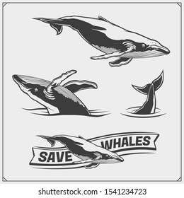 Vector illustration and silhouettes of beautiful whales. Ecology emblems design.