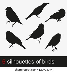 Vector illustration silhouettes of birds