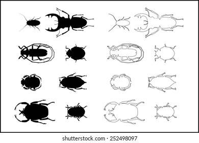 Vector illustration of silhouettes of different beetles