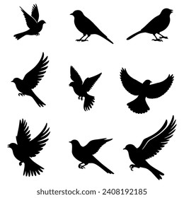 ilustración vectorial. siluetas de diferentes aves en vuelo