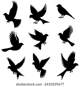 vector illustration. silhouettes of different birds in flight