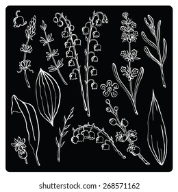 vector illustration silhouettes of different plants and flowers