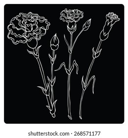 vector illustration silhouettes of different plants and flowers