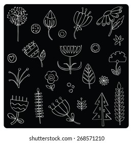 vector illustration silhouettes of different plants and flowers