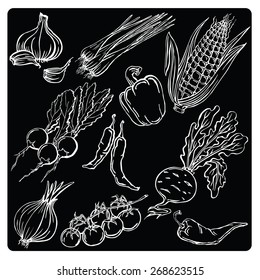 vector illustration silhouettes of different vegetables