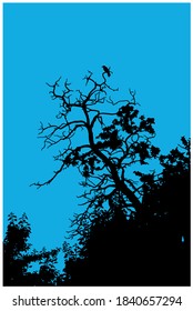 Vector illustration. Silhouettes of a dry tree with a bird on a branch.