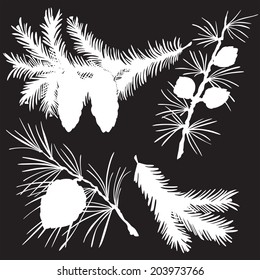 vector illustration silhouettes of fir branches 
