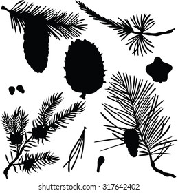 Vector illustration silhouettes of fir branches and fir cones