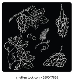 vector illustration silhouettes of grapes