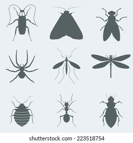 Vector illustration silhouettes of insects