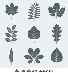 Vector illustration of silhouettes of leaves