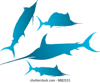 Vector illustration silhouettes of marlin, spearfish, sailfish and sword-fish
