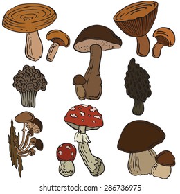 vector illustration silhouettes of mushrooms
