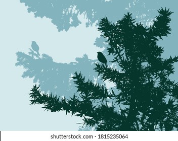 Vector illustration of silhouettes spruce branches in pine forest