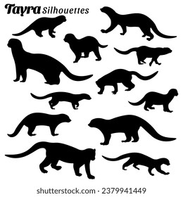 Vector illustration of silhouettes of tayra animal set