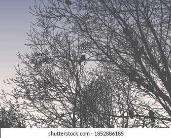 Vector illustration of silhouettes trees branches in winter forest