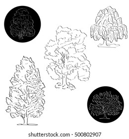 Vector illustration of the silhouettes of a trees with brush strokes
 on black and white background