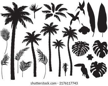 Vector illustration of silhouettes of tropical leaves, flowers and birds, elements for animation