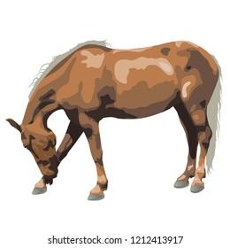 Vector illustration silver dapple mare isolated on white background.