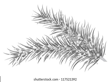 Vektorgrafik von Zweigen mit silberner Tanne