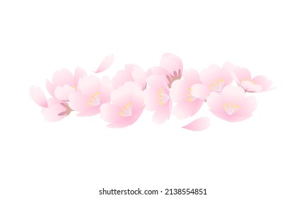 Vector illustration of simple and beautiful cherry blossoms, petals and buds.